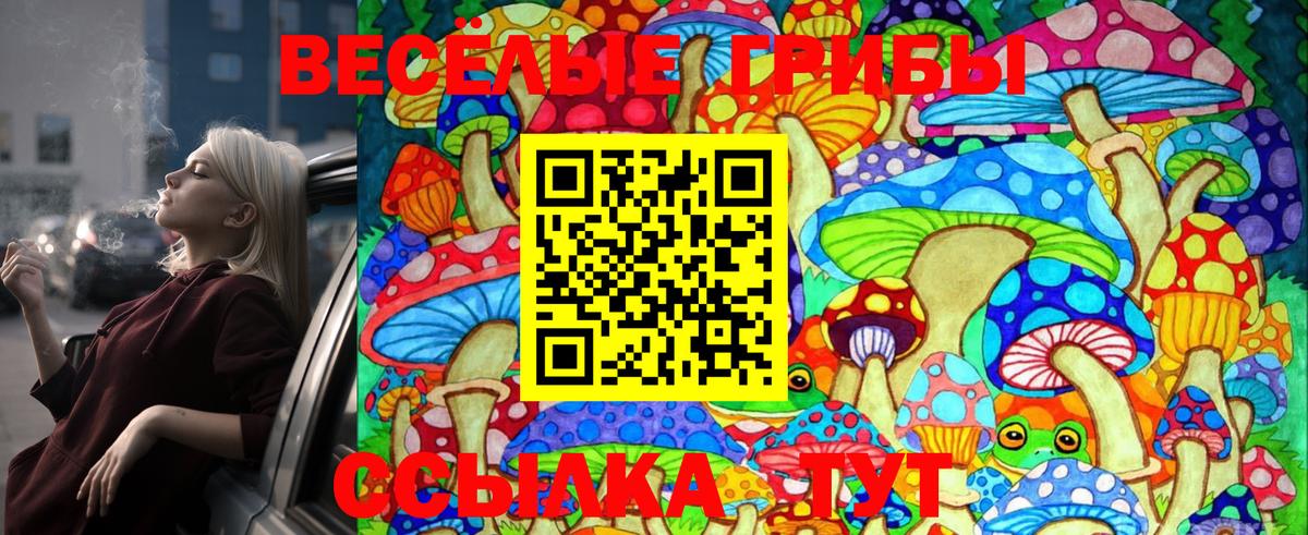 Галлюциногенные грибы Psilocybe  Вход с VPN  Псилоцибиновые грибы Psilocybe  Белорецк 
